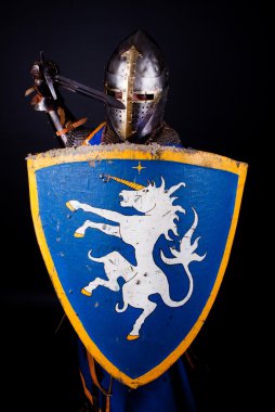 Picture of defending knight clipart