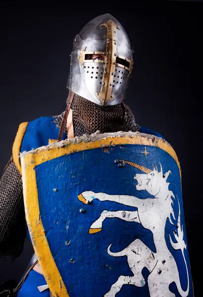 Warrior with shield — Stock Photo, Image