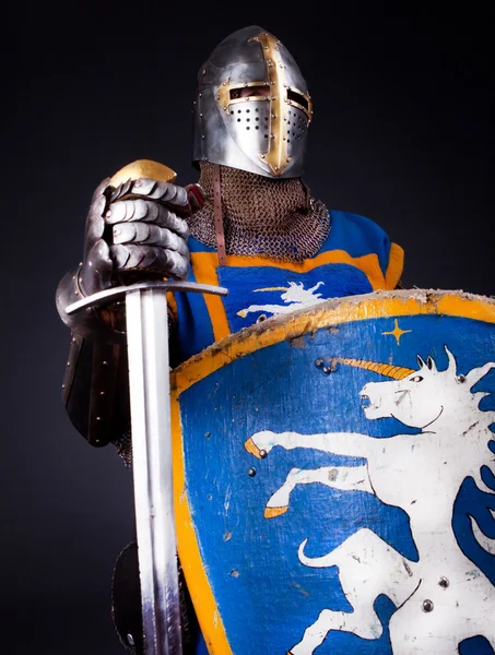 Image of confident knight — Stock Photo, Image