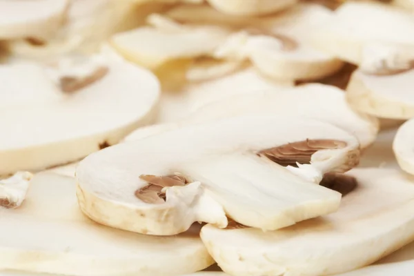 stock image Mushrooms