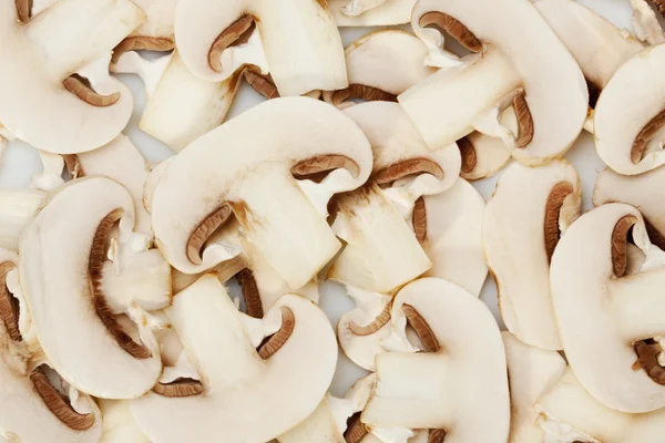 stock image Mushrooms