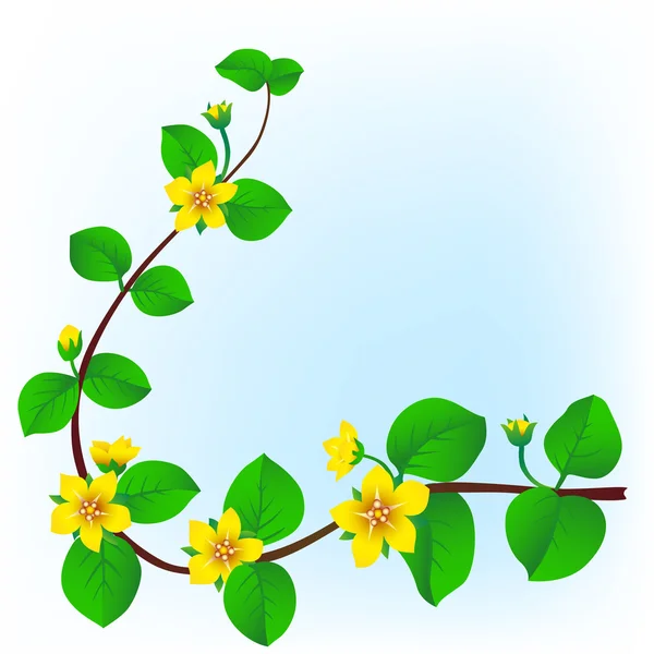 Voorjaar bloeien — Stockvector