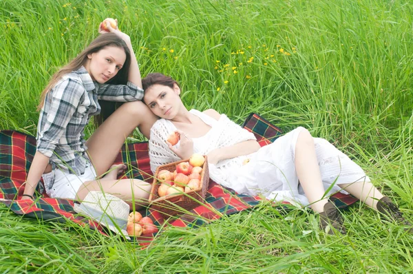 Avkopplande picknick — Stockfoto
