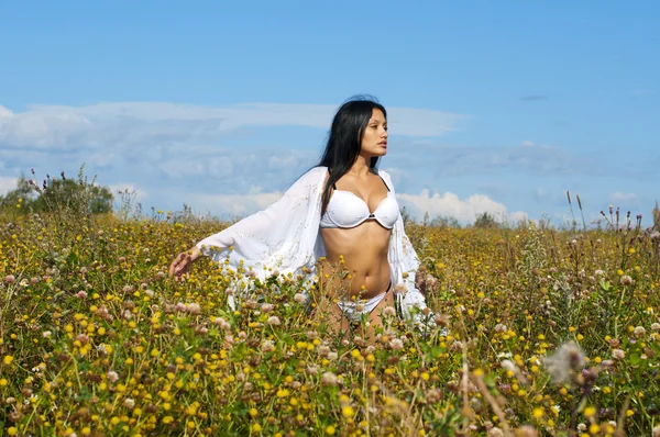 Woman at the meadow — Stock Photo, Image