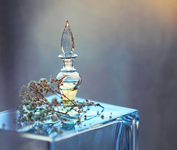 Small bottle of perfume — Stock Photo, Image