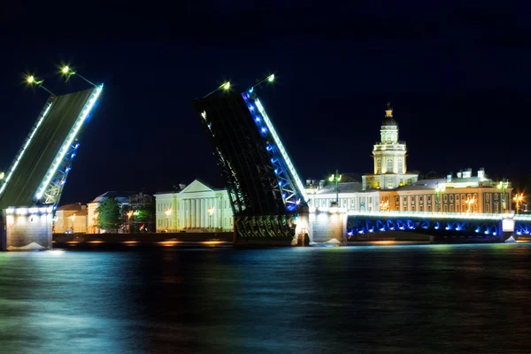 St.-Petersburg — Stok Foto