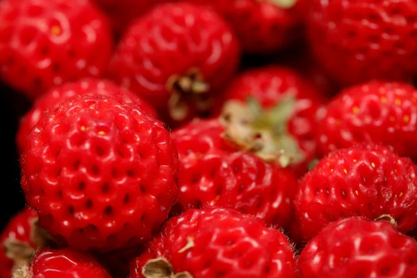 Strawberry — Stock Photo, Image
