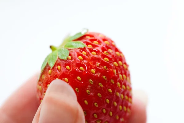 Krásné jahody — Stock fotografie