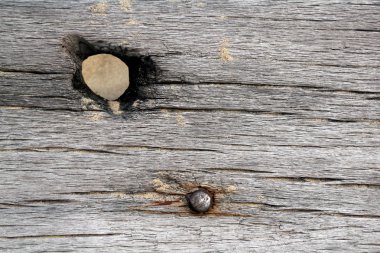 Aged wood on beach clipart