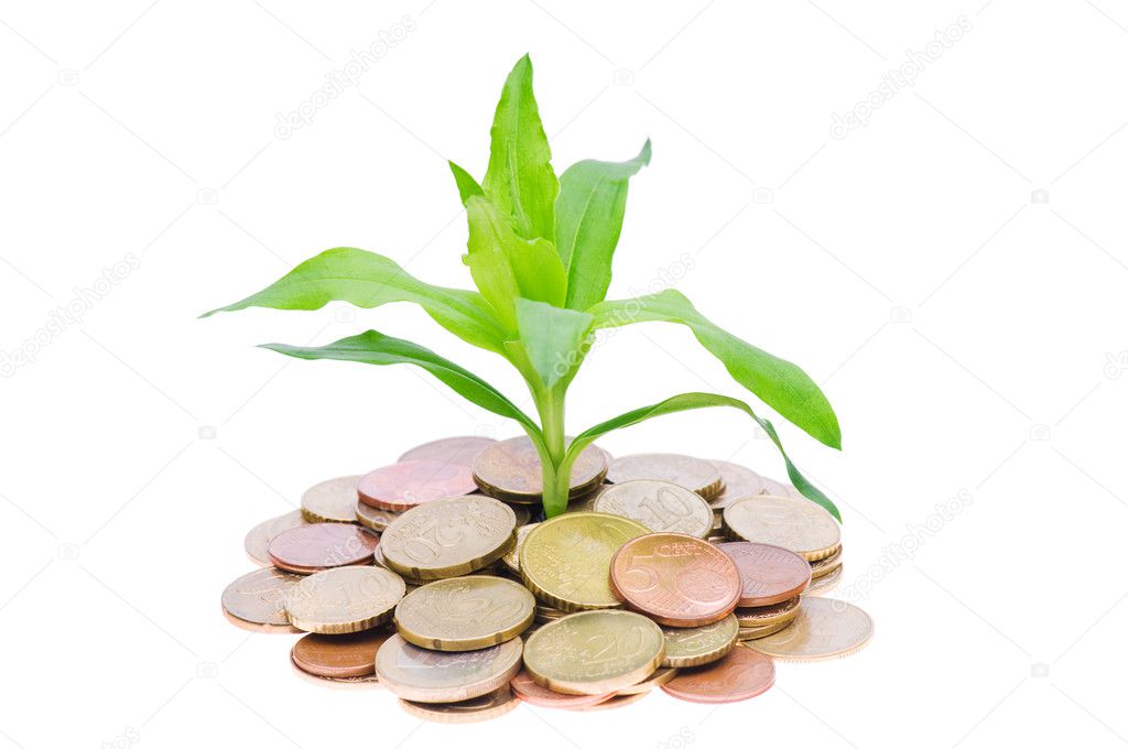 Coins and plant