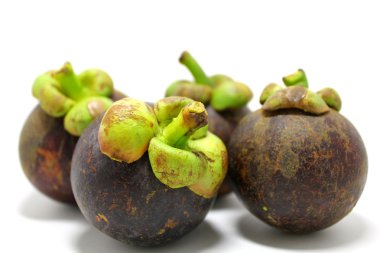 Mangosteen