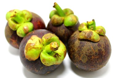 Mangosteen