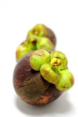 Mangosteen