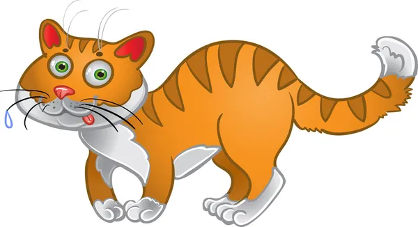 Oranje plezier kat — Stockvector