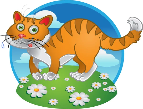 Orange fun cat on color background — Stock Vector