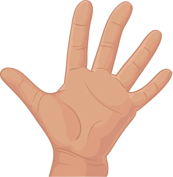 Lot de cinq des doigts — Image vectorielle