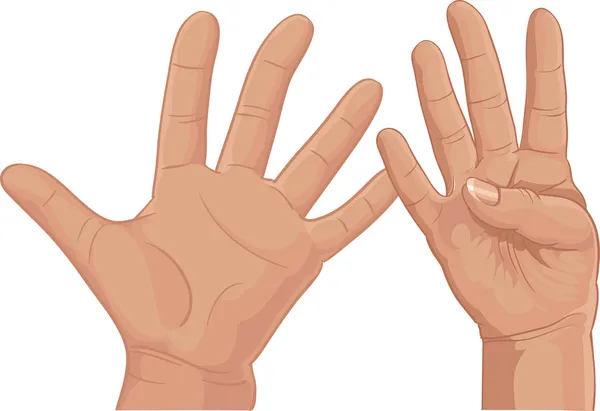バッチ 9 の指からのセット — ストックベクタ