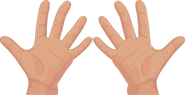 Toplu on parmaklarının arasından kümesi — Stok Vektör
