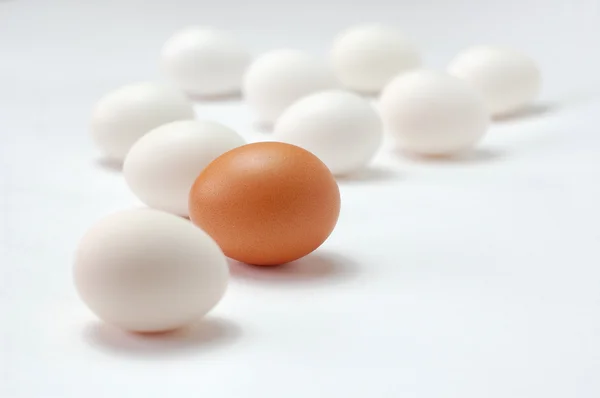 Eieren. — Stockfoto