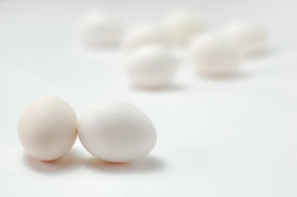 Ägg. — Stockfoto