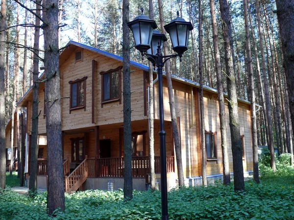 stock image Wooden cottages in pine forest