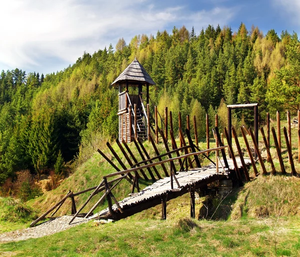 Ancient wooden fortification — Stock Photo, Image