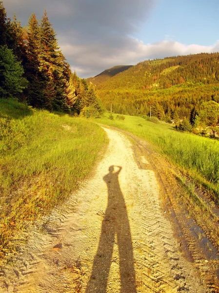 stock image Road at sundown with long shadow