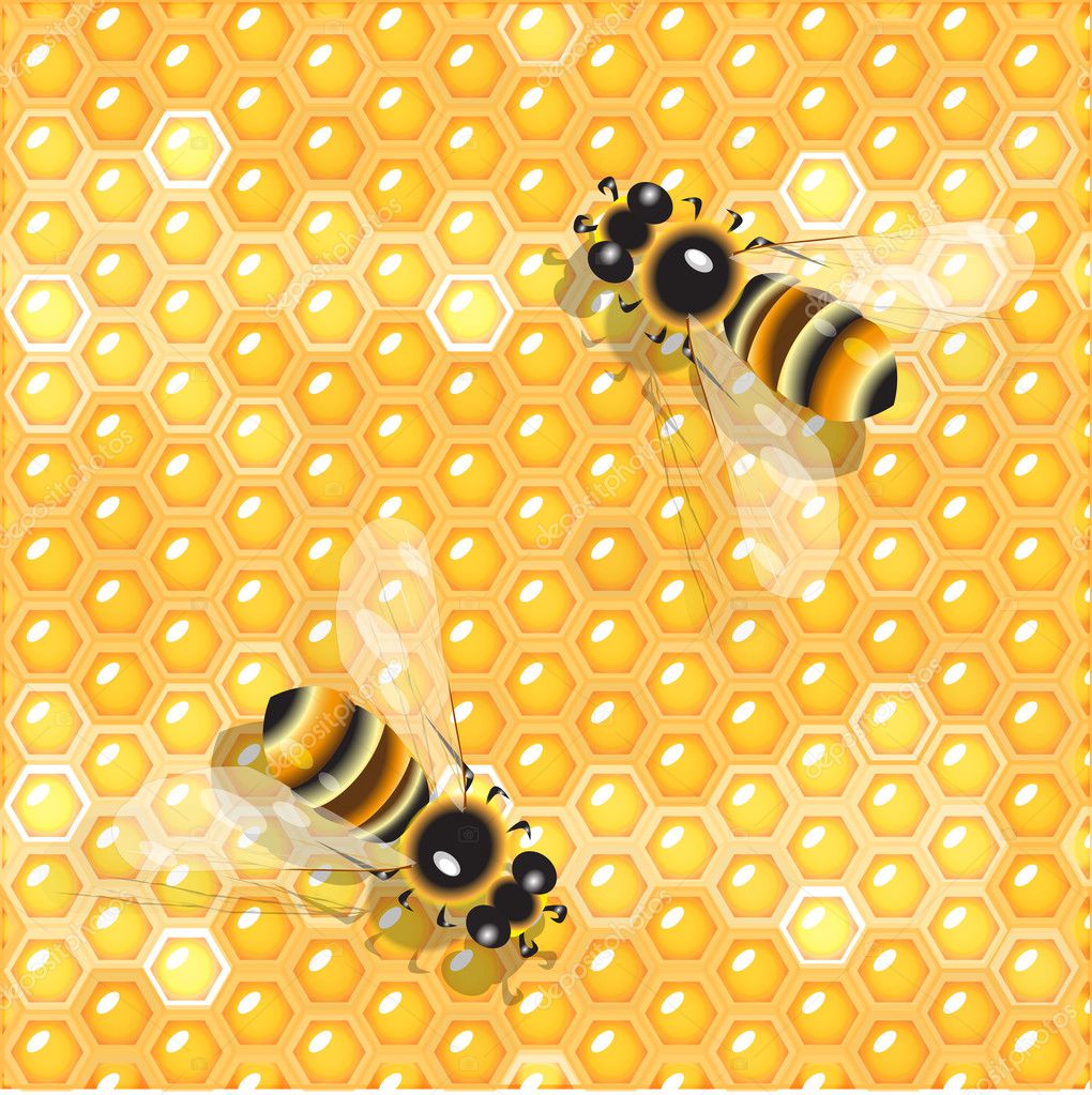 Bees and honey Stock Vector Image by ©brux17 #3058994