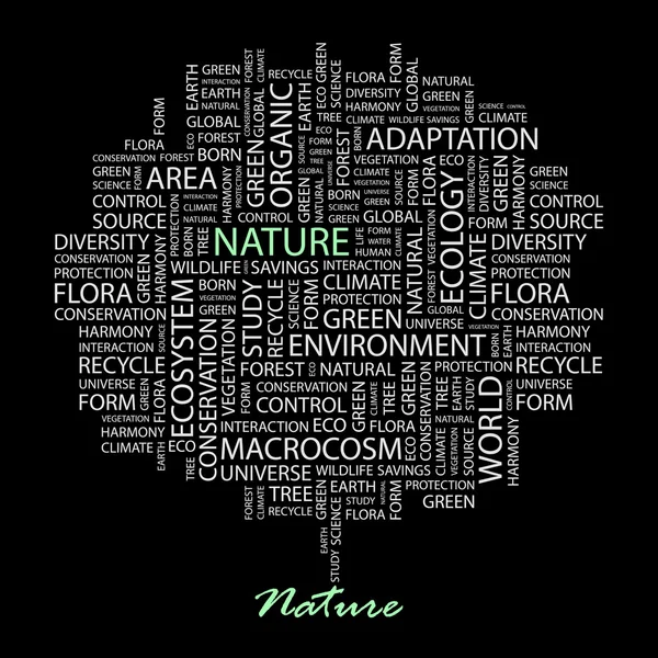 NATURE. Illustration with different association terms. — Stock Vector