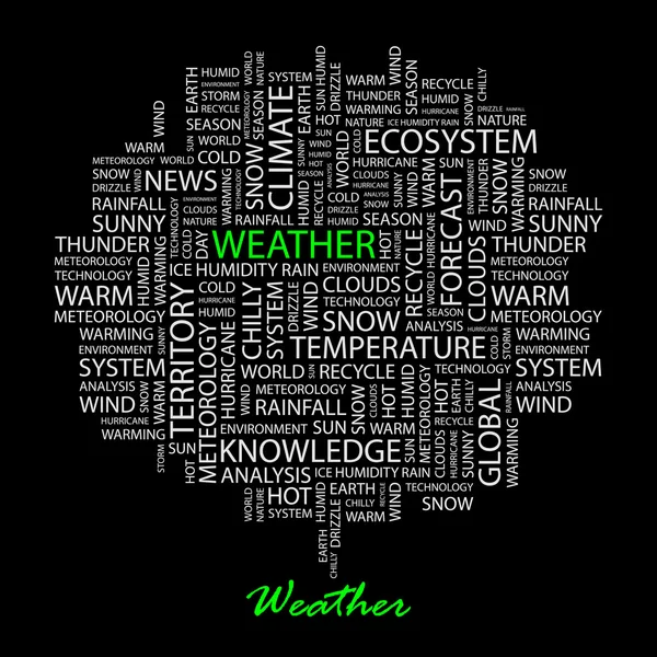 WEATHER. Word collage. Vector illustration. — Stock Vector