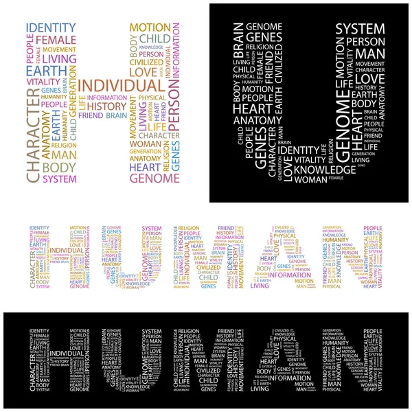 HUMAN. Illustration with different association terms. — Stock Vector