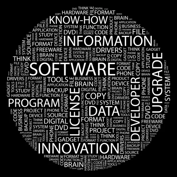 SOFTWARE. Word collage — Stock Vector