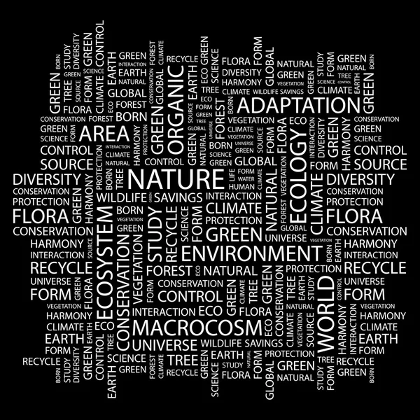 Naturaleza. collage palabra sobre fondo negro — Archivo Imágenes Vectoriales