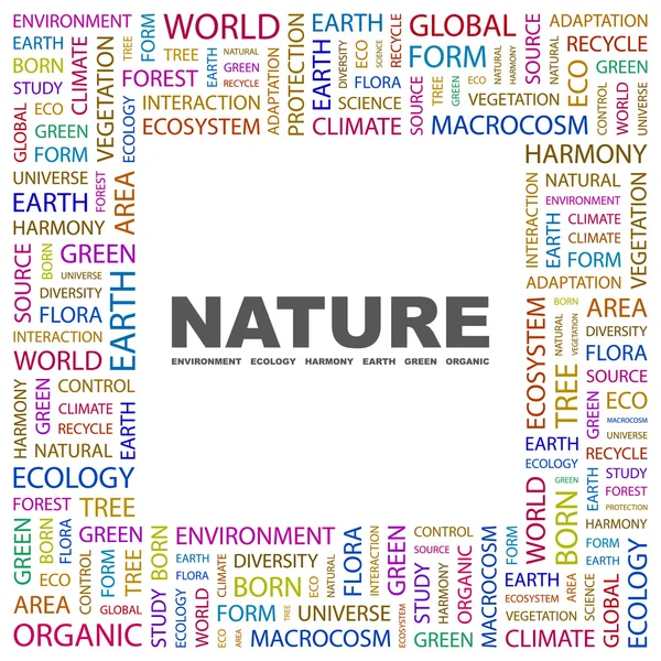 Naturaleza. collage palabra sobre fondo blanco — Vector de stock