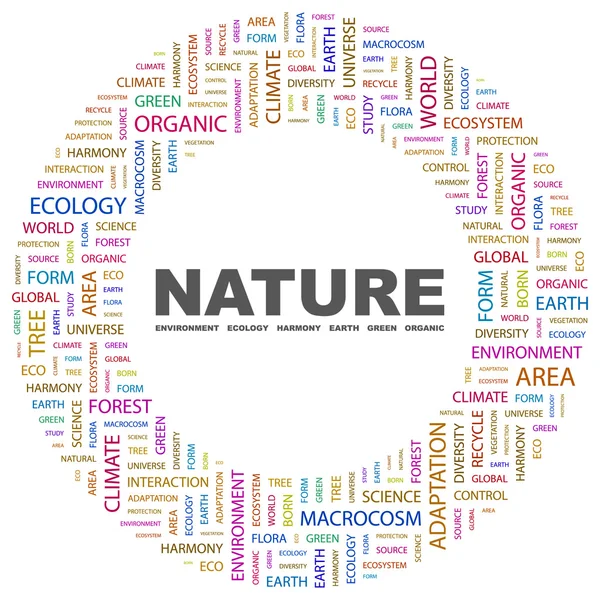 Naturaleza. collage palabra sobre fondo blanco — Archivo Imágenes Vectoriales