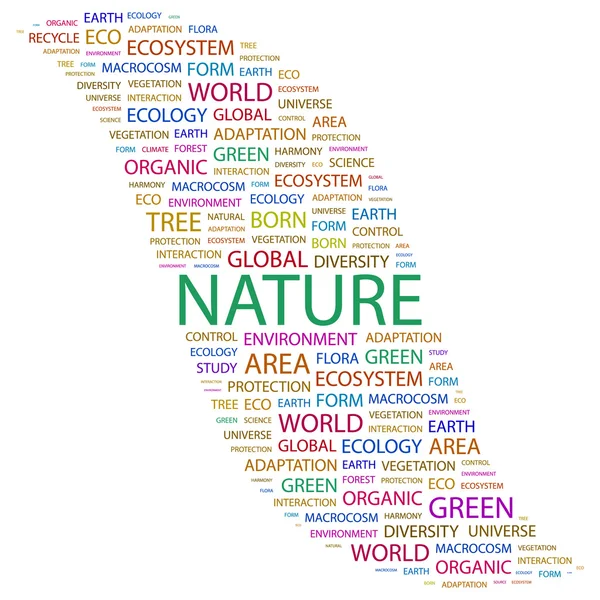 La nature. Collage de mots sur fond blanc — Image vectorielle