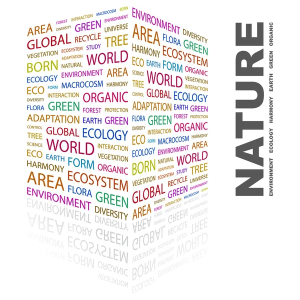 Naturaleza. collage palabra sobre fondo blanco — Vector de stock