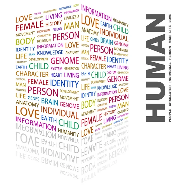 Ανθρώπινη. λέξη κολάζ σε άσπρο φόντο — Διανυσματικό Αρχείο