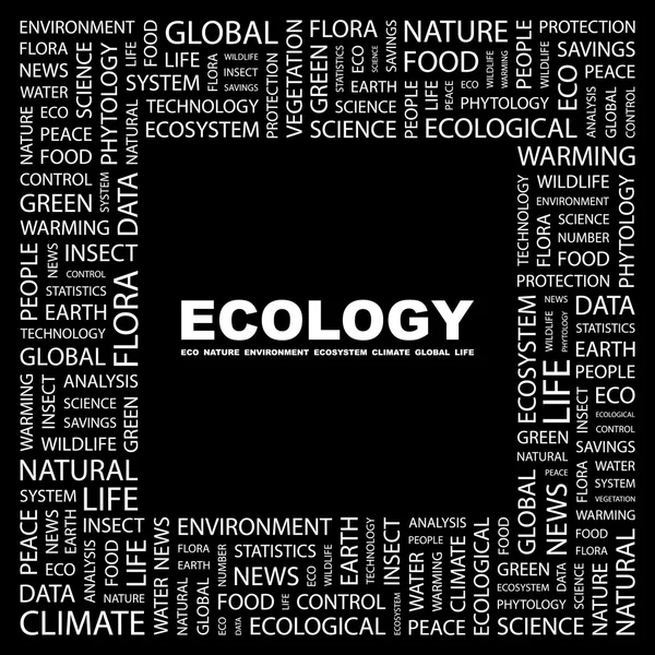 生態学。黒の背景に単語のコラージュ — ストックベクタ