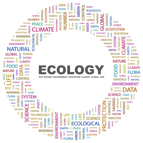 Ekologia. słowo kolaż na białym tle — Wektor stockowy