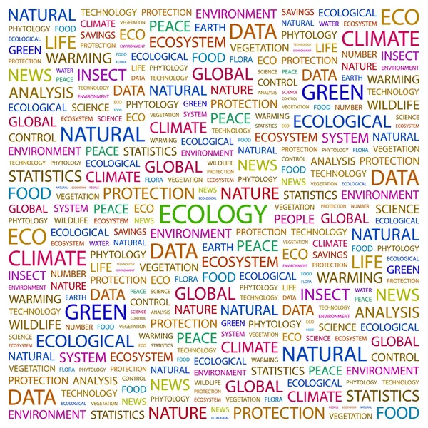 Ökologie. Wortcollage auf weißem Hintergrund — Stockvektor