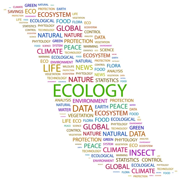 Ökologie. Wortcollage auf weißem Hintergrund — Stockvektor