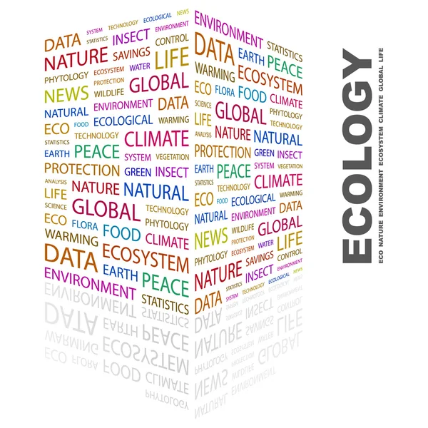 Ecología. collage palabra sobre fondo blanco — Archivo Imágenes Vectoriales