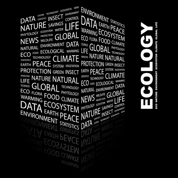Ekologia. słowo kolaż na czarnym tle — Wektor stockowy