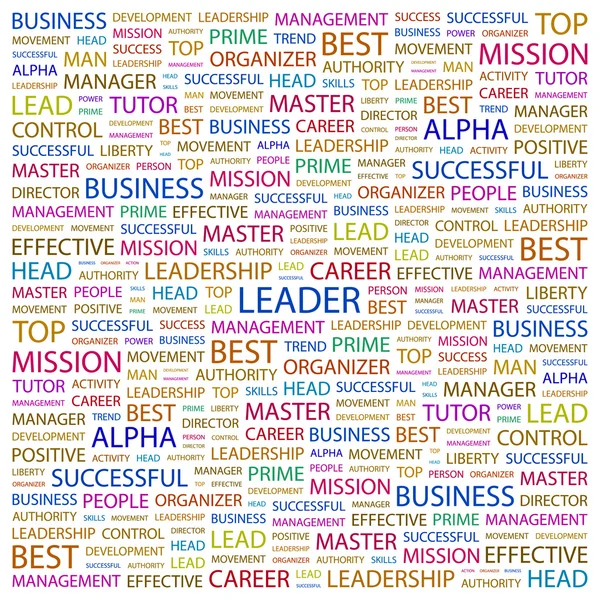 LEADER. Collage di parole su sfondo bianco — Vettoriale Stock