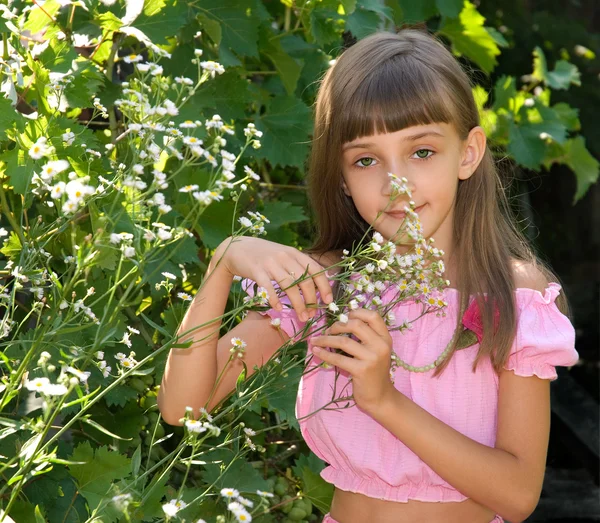 The girl with camomiles — Stock Photo, Image
