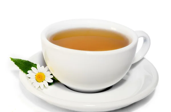 Herbaty ziołowe rumianek — Zdjęcie stockowe