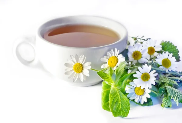 Herbaty ziołowe rumianek — Zdjęcie stockowe