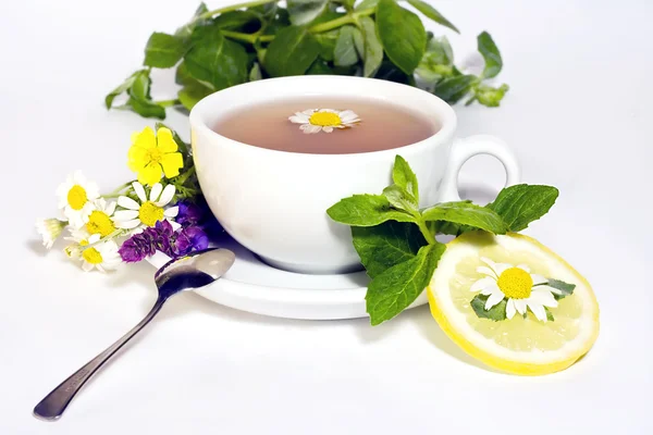 Herbal camomile tea — Stock Photo, Image