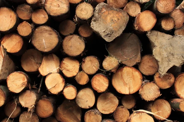 stock image Pile of logs